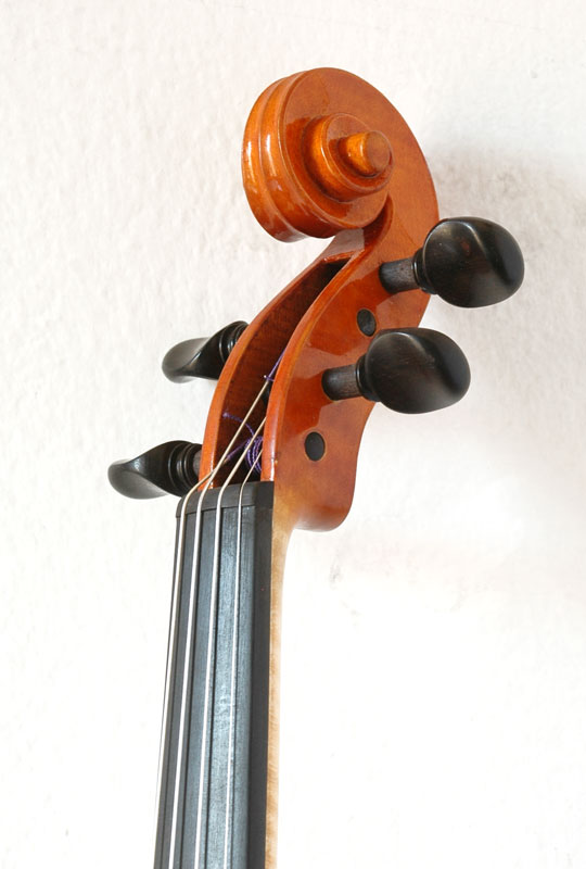 violino-8.jpg