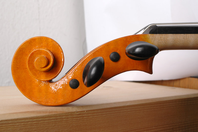 violino-9.jpg