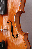violino-4