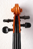 violino-7