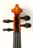 violino-7